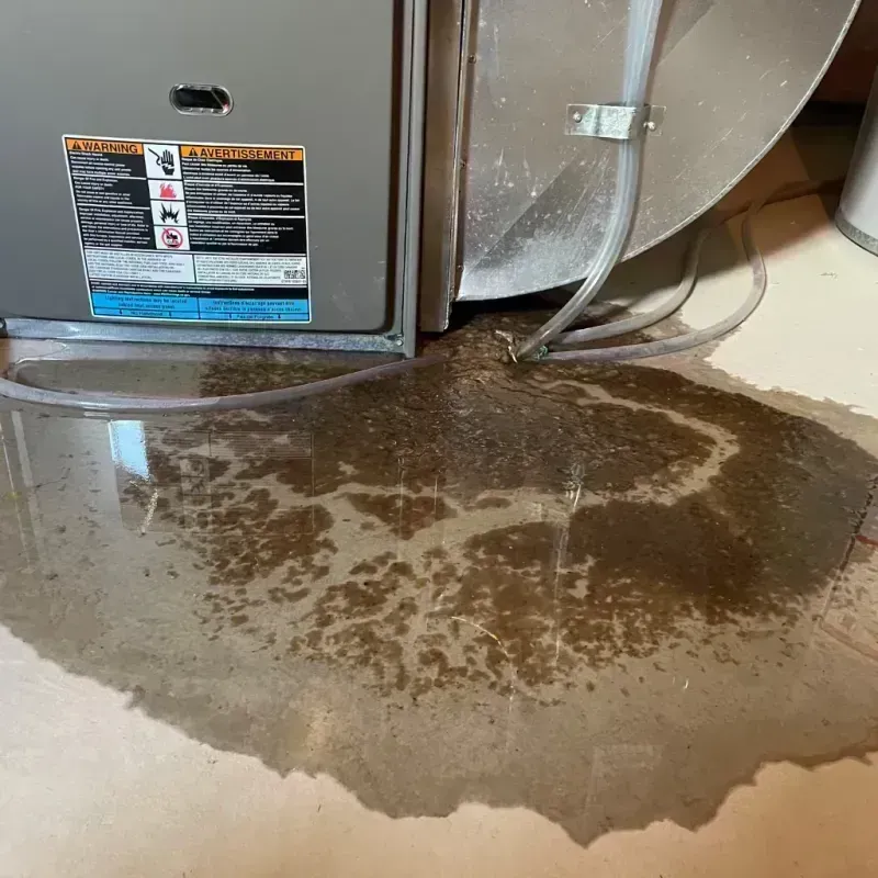 Appliance Leak Cleanup in Los Altos, CA